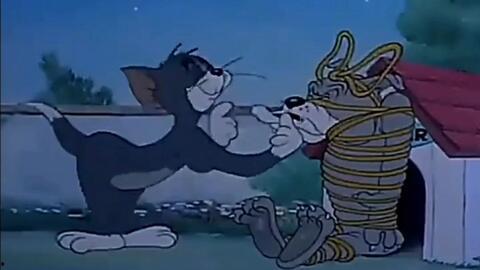 老鼠黑金视频,探寻神秘生物的财富秘密