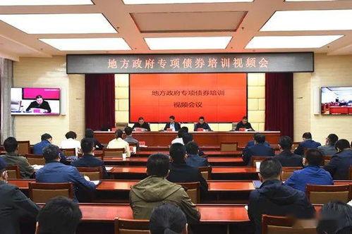 政府视频会议,高效决策与远程协作新篇章