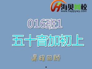 标日初级视频,标日初级视频课程内容概览