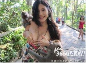 美女侵视频,法律与道德的双重拷问