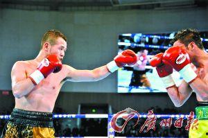 裘晓君视频,揭秘成功背后的故事与智慧